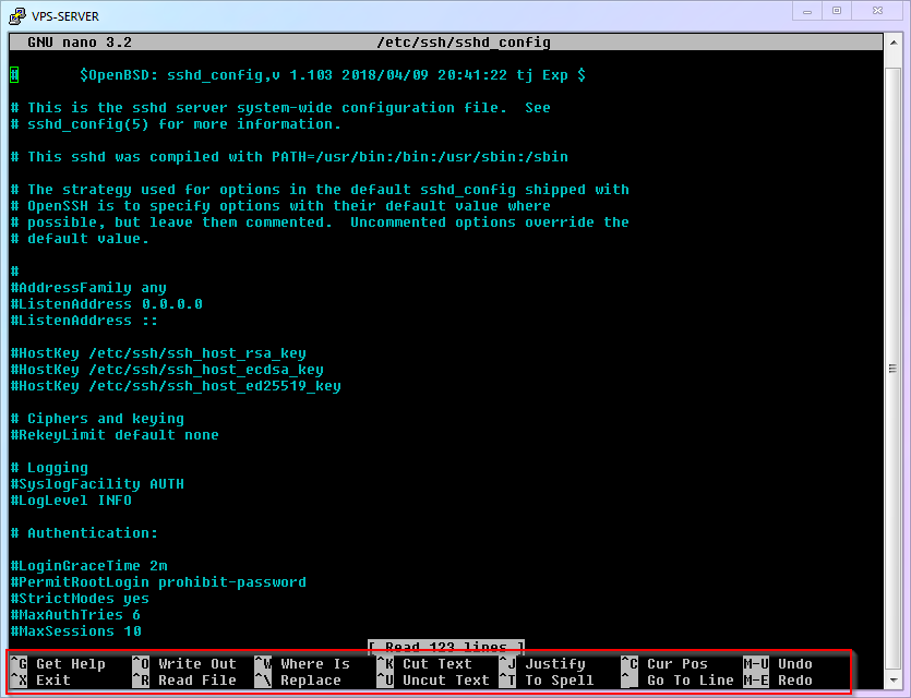 Nano text editor interface showing basic editing commands and file content