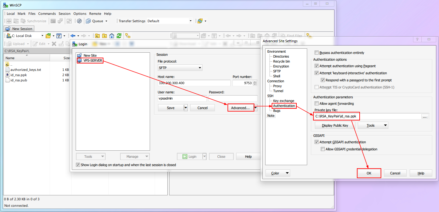 WinSCP private key configuration for secure SSH authentication
