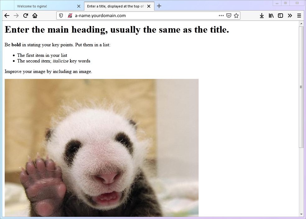 Successful HTTP website display showing Nginx default welcome page